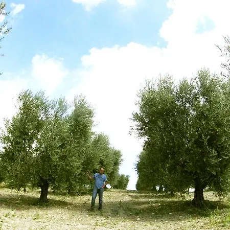 Farm stay Aia Di Lazzaro