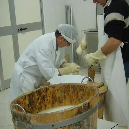 Aia Di Lazzaro Casalbore