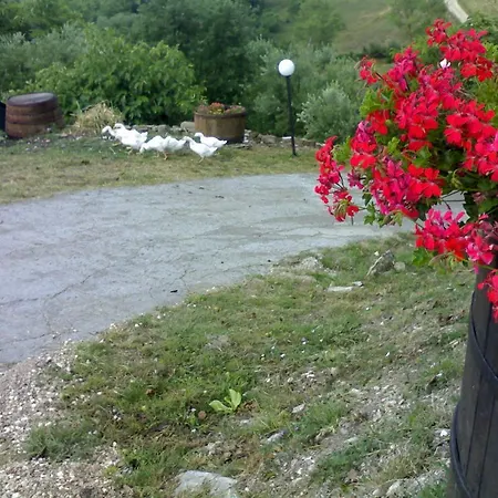 Aia Di Lazzaro * Casalbore