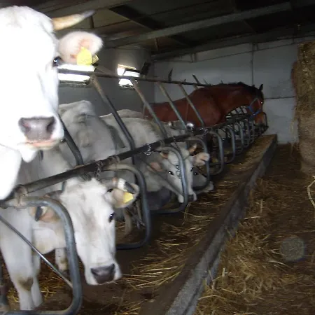 Aia Di Lazzaro Farm stay Casalbore