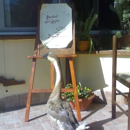 Aia Di Lazzaro Farm stay