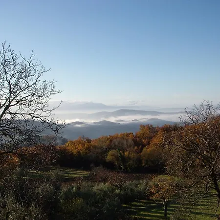 Aia Di Lazzaro * Casalbore
