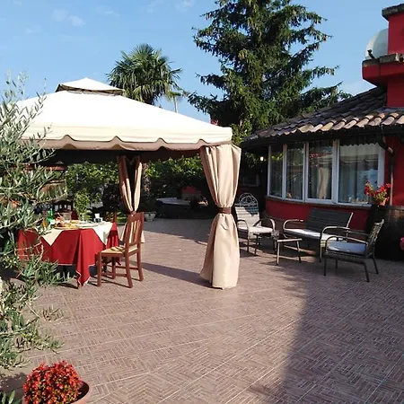 Aia Di Lazzaro *